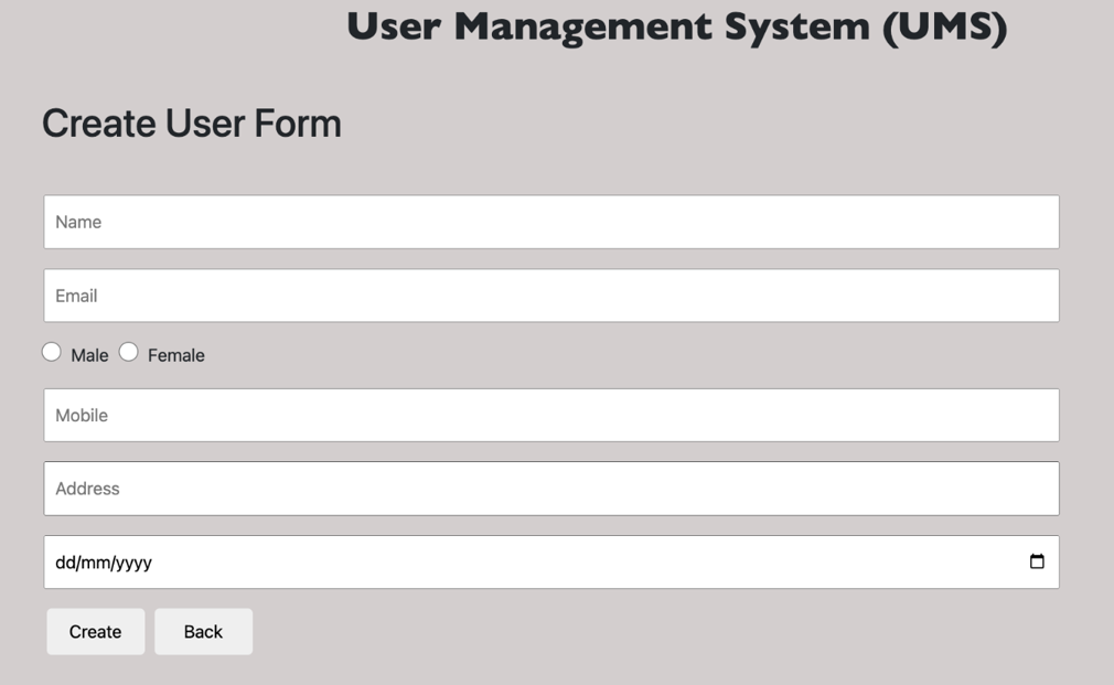 Angular CRUD Using JSON (Output 3)