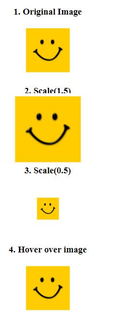 Css Image Scale Hot Sex Picture