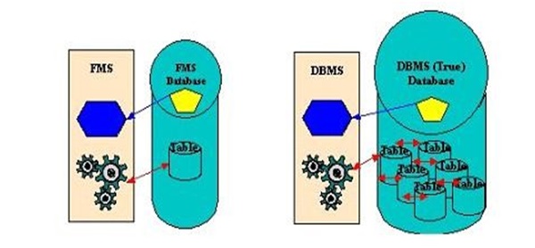 Difference Between DBMS And Traditional File System