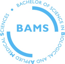 BAMS Full Form Minimum Criteria Course Curriculum Future and