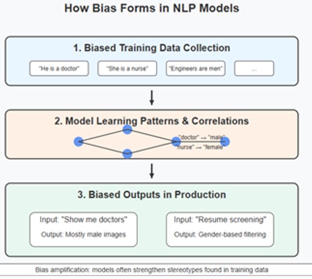 Bias in NLP Models